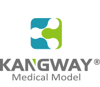 康(kang)為醫(yi)療(liao)