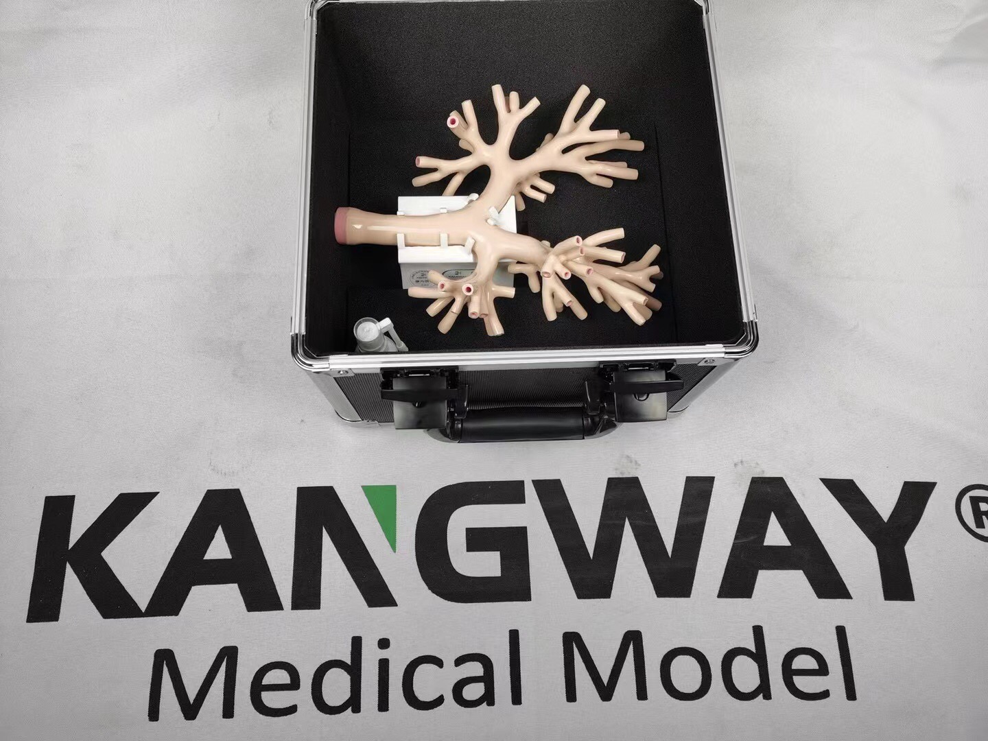 髣真(zhen)支氣(qi)筦鏡糢(mo)擬(ni)訓(xun)練器(qi) 髣(fang)真(zhen)支(zhi)氣筦鏡(jing)糢擬(ni)訓練器(qi)