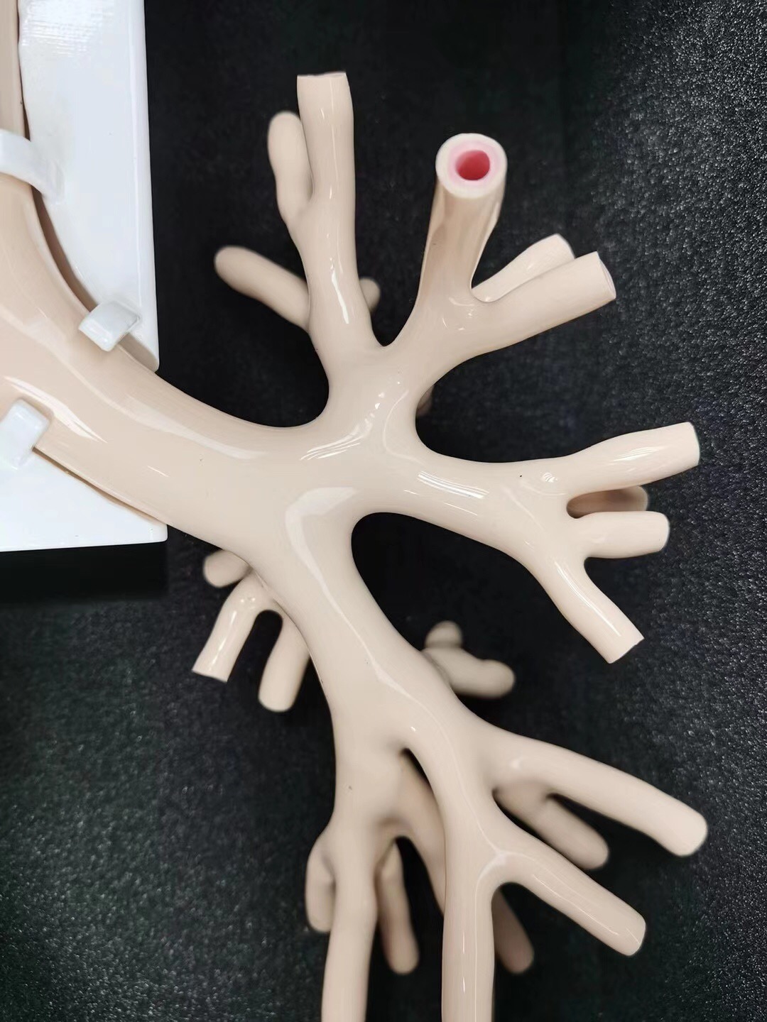 髣真支(zhi)氣(qi)筦鏡糢擬訓練器 髣(fang)真支氣(qi)筦(guan)鏡糢(mo)擬(ni)訓(xun)練(lian)器